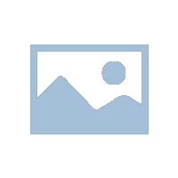 音乐人物：王宝